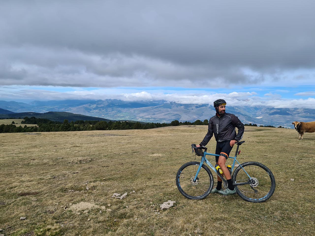 ciclista de gravel en la cima de una montaña y una vaca detrás